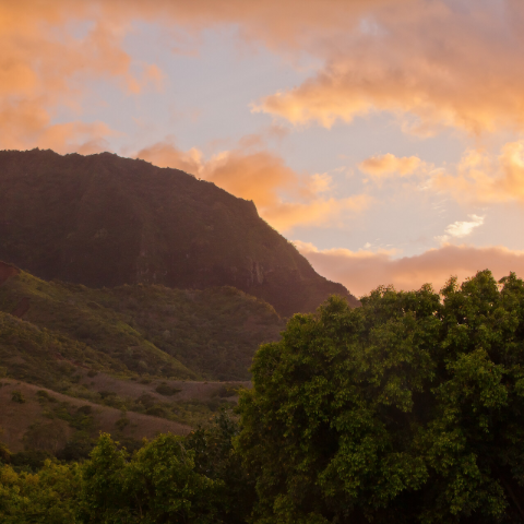Right-aligned square export showing more sky above the ridge's descending right edge and more of the large foreground tree on the right.